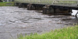 Hoog waterpeil en sterke stroming Vecht